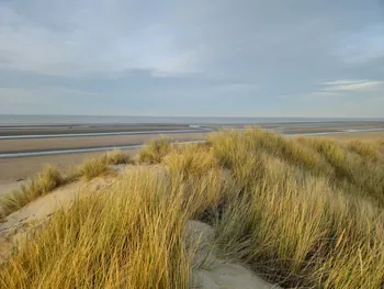 Oostnieuwkerke duinen wandeling in de koude (België)